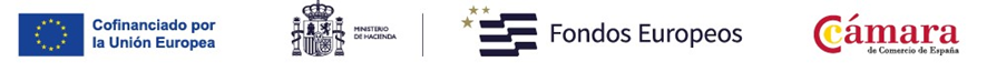 logos FEDER logos FEDER