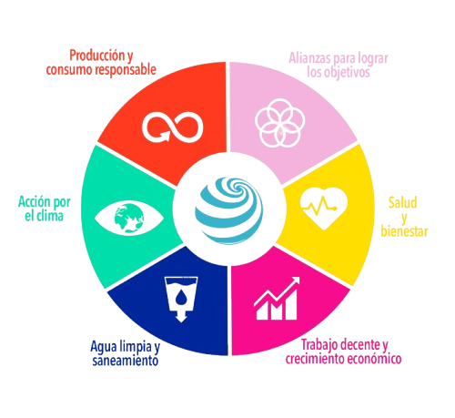 Objetivos-ODS-removebg-preview