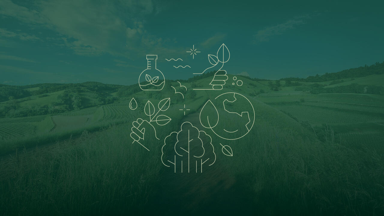 sostenibilidad portada nitida green