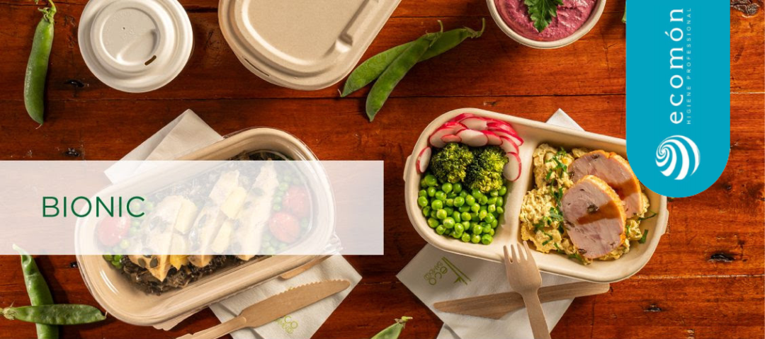 Recipientes de caña de azúcar